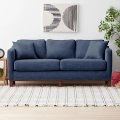 a living room with a blue couch and white rug