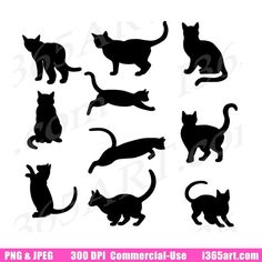 the silhouettes of cats and kittens are shown in various poses, including one black cat