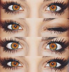 @αυυυвreyтαтe ☾♡ Green Colored Contacts, Natural Color Contacts, Colored Eye Contacts, Eye Contact Lenses, Soft Contact Lenses, Natural Eyes