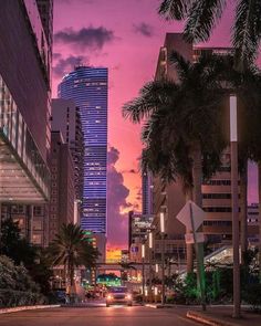 a city street with palm trees and tall buildings in the background at sunset or dawn