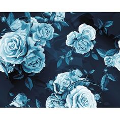 blue roses on a black background framed print