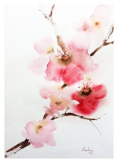 a watercolor painting of pink flowers on a white background