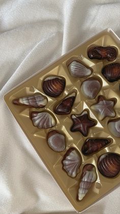 pralines | pralinen | chocolates | chocolates aesthetic | pralinen weihnachten | seashell crafts | seashell aesthetic | seashell art | chocolate aesthetic | pralinen weihnachten | pralinen verpacken | meeresfrüchte pralinen | belgische meeresfrüchte pralinen | party inspo | party ideas | party food