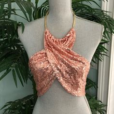 I Bought This On Posh But It Fit Different From The Pictures When I Put It On. It Was Too Big And The Gold Rope And Hook Around The Neck Is Lightweight. It May Be Better To Put A Gold Oval Choker/Necklace Through It. It Is Nwot. I Never Wore It. It Is Pink. Pink Backless Top For Night Out, Pink Fitted Crop Top With Sequins, Fitted Pink Crop Top With Sequins, Glamorous Pink Crop Top For Summer, Pink Backless Party Top, Glamorous Sleeveless Crop Top For Beach, Glamorous Sleeveless Halter Top For The Beach, Pink Backless Crop Top For Night Out, Backless Pink Crop Top For Night Out