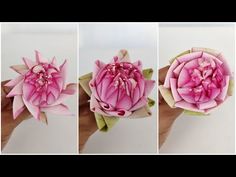 three pictures of pink flowers being held up