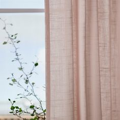 a plant is growing out of the corner of a window sill in front of a curtain