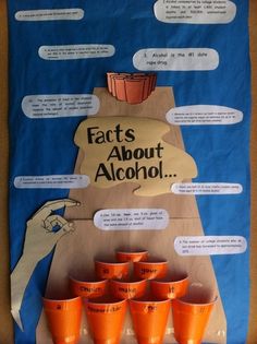 an image of a bulletin board with orange cups on it and the words, fact about alcohol love this bulletin board