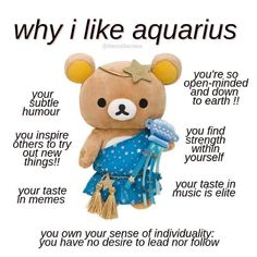 a teddy bear with an advertise for aquarius on it's chest