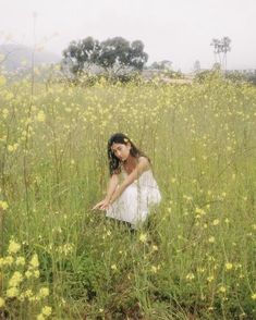 a woman sitting in the middle of a field