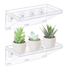 three succulents are sitting in white pots on a clear shelf with wheels