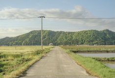 an empty road in the middle of a field