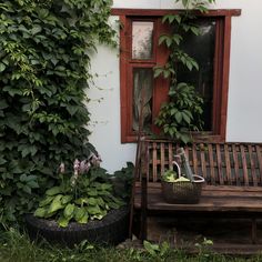 a wooden bench sitting in front of a window covered with vines and flowers next to a potted plant