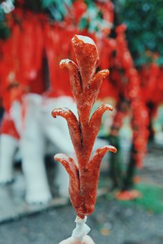 a person holding up a piece of food in front of a horse statue with red decorations on it