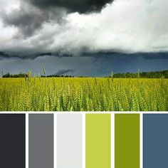 an image of a field with storm clouds in the sky and color swatches below