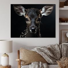 a baby deer is looking at the camera while sitting on a couch in front of a black background