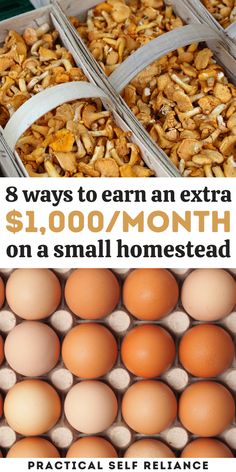 eggs in trays with text that reads 8 ways to earn an extra $ 1, 000 / month on a small homestead