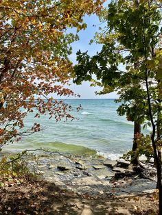 the beach is surrounded by trees with leaves on them and water in the distance behind it