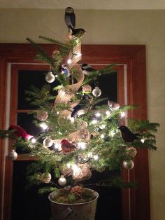 a christmas tree with lights and ornaments in a bucket next to a window sill