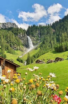 a woman standing in front of a lush green hillside covered in lots of wildflowers