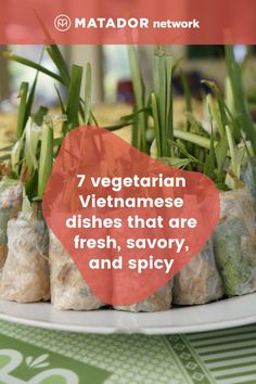 there is a plate with food on it and the words vegetarian vietnamese dishes that are fresh, savory, and spicy