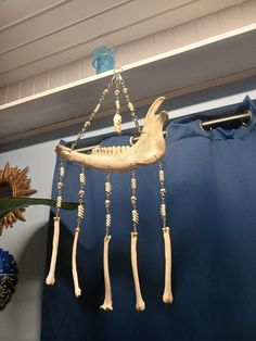 an animal skeleton hanging from the ceiling next to a blue curtain and sunflowers