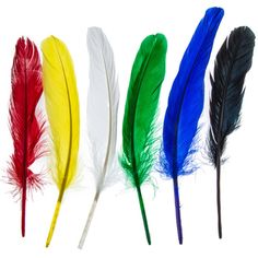 four different colored feathers with the words fancy feathers on them, in front of a white background