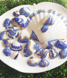 blue and white seashells are arranged on a plate