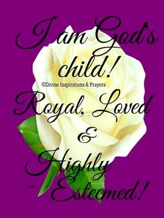 a white rose with the words i am god's child royal, loved and highly extended