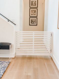 a dog is sitting on the floor in front of a white gated entryway