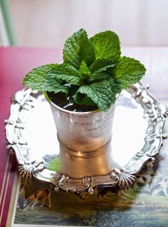 a small potted plant sitting on top of a metal tray next to a book