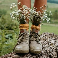 a pair of boots with flowers tied to them on top of a tree stump in the woods