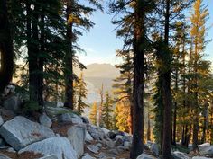 trees and rocks on the side of a mountain with mountains in the backgroud