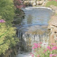 there is a small waterfall in the garden