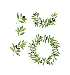 olives and leaves are arranged in the shape of an o on a white background