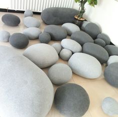 some rocks and a potted plant on the floor