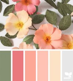 some pink flowers and green leaves on a white surface with color swatches in the middle