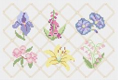 cross stitch pattern with flowers on it