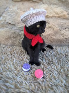 a black cat wearing a knitted hat and scarf sitting next to two crocheted buttons