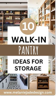 the top 10 walk in pantry ideas for storage