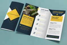 an open brochure with yellow and blue accents on the front, inside and outside