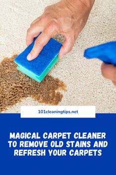 a person cleaning carpet with a blue sponge and a hand holding a rag to remove old stains and refresh your carpets