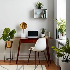 a desk with a laptop on it next to two plants and a potted plant