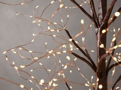 a tree with lights on it in front of a gray wall