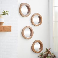 three circular mirrors hanging on the wall next to a potted plant