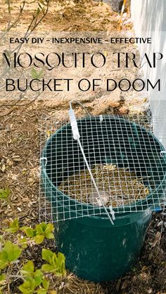 a bucket full of food sitting on the ground with text overlay that reads easy diy - expensive effective mosquito trap bucket of dorm