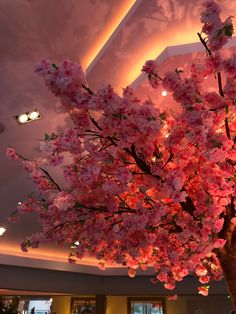 pink flowers are blooming on the branches of a tree in front of a ceiling