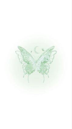 a drawing of a butterfly on a white background