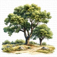 a painting of two trees on a dirt road