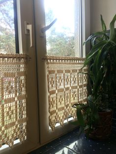 a plant is sitting in front of a window with the blinds drawn down and there are no curtains on it