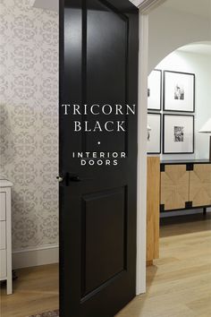 black painted door tricorn black Back Interior Doors, White House Black Doors Interior, White Walls And Black Doors, Black Doors Upstairs, Black Painted Entryway, Black Interior Doors Kitchen, True Black Paint Color, Black House Paint Colors, Sherwin Williams Tricorn Black Door